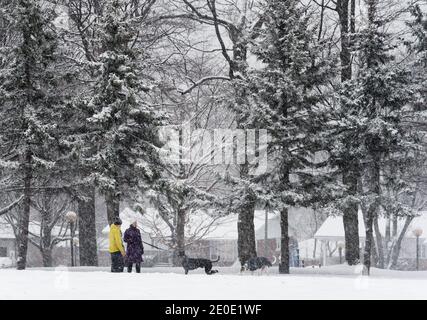 Menschen gehen ihre Hunde während Schneefall in Quebec, Kanada Stockfoto