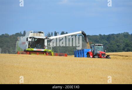 Claas Combine Erntegut - landschaftlich reizende Landwirtschaft Coupar Angus, Perthshire, Schottland Stockfoto