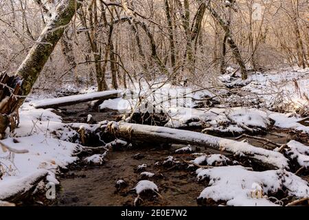 Schneebedeckte Holzbrücke und Holzbrücke über felsigen Bach läuft Durch Schnee und Eis im bewaldeten Gebiet von Shamokin Springs Stockfoto