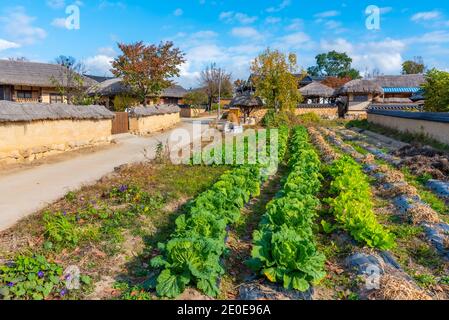 Typische Bauernhäuser in Hahoe Folk Dorf in der Republik fo Korea Stockfoto