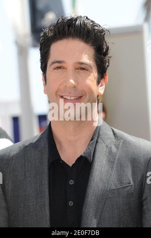 David Schwimmer posiert auf der Fotokalle Madagascar 3, die am 17. Mai 2012 im Carlton Hotel im Rahmen der 65. Internationalen Filmfestspiele von Cannes in Cannes, Frankreich, stattfand. Foto von Nicolas Briquet/ABACAPRESS.COM Stockfoto