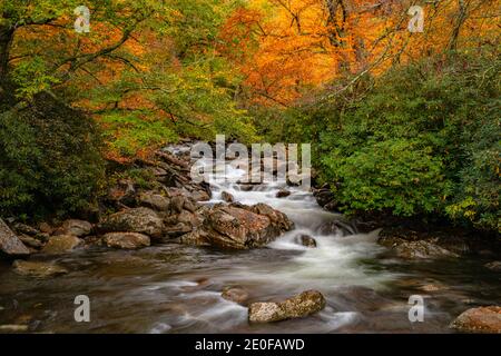 Herbstfarben wechseln über dem Westprong der kleinen Taube Fluss Stockfoto