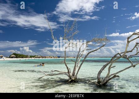 Baby Beach ist eine flache, geschützte Lagune in Seroe Colorado, an der Südostküste von Aruba. Stockfoto