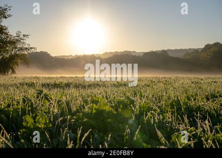 Frostiger Tau über Feld von der Sonne in Cuyahoga beleuchtet Tal Stockfoto