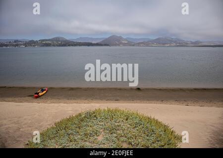 Blick auf Morro Bay und Morro Rock vom Elfin Forest, Baywood Park, San Luis Obispo County, Kalifornien, USA Stockfoto