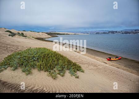 Blick auf Morro Bay und Morro Rock vom Elfin Forest, Baywood Park, San Luis Obispo County, Kalifornien, USA Stockfoto