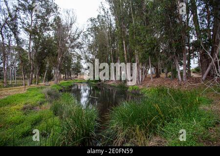 Morro Coast Audubon Society Sweet Springs Nature Preserve, Baywood Park, San Luis Obispo County, California, USA Stockfoto