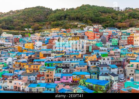 Bunte Fassaden von Häusern in Gamcheon Kulturdorf in Busan, Republik Korea Stockfoto