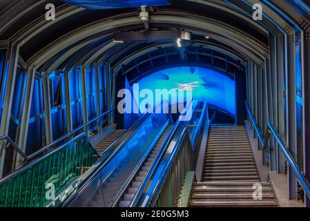 Beleuchtete Rolltreppe im Zentrum von Busan, Republik Korea Stockfoto