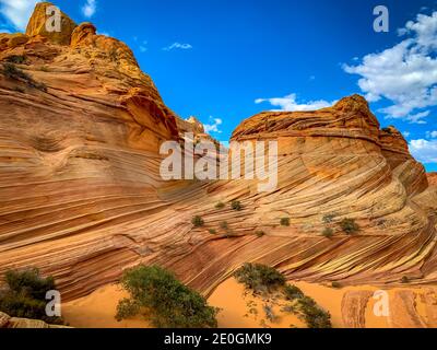 The Wave ist eine berühmte Sandsteinfelsenformation in Coyote Buttes, Arizona, die für ihre farbenfrohen, welligen Formen bekannt ist Stockfoto