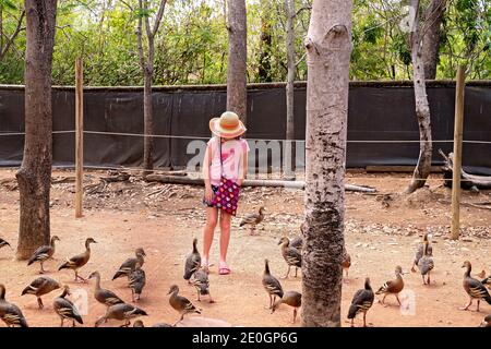 Townsville, Queensland, Australien - Dezember 2020: Ein kleines Mädchen füttert Enten in einem Tierschutzgebiet Stockfoto