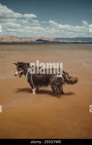 Schöne Aussicht auf die Berge über den See Hume von Ebden, Victoria, in der Nähe von Albury und Wodonga. Stockfoto