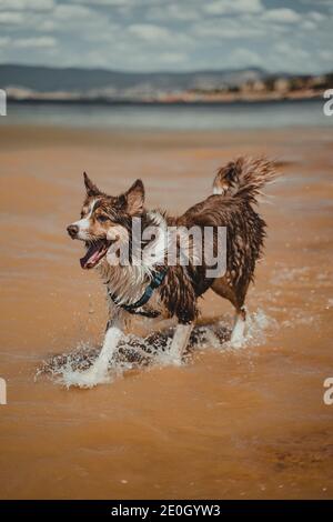 Schöne Aussicht auf die Berge über den See Hume von Ebden, Victoria, in der Nähe von Albury und Wodonga. Stockfoto