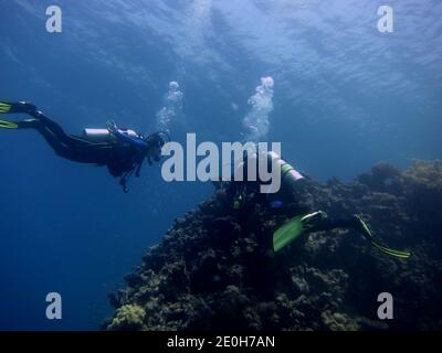 Zwei Taucher am Korallenriff im Roten Meer Stockfoto