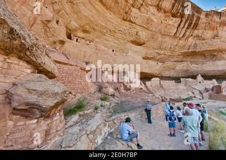 Parkführer und Besucher im Long House Cliff, das in einer Nische in Wetherill Mesa im Mesa Verde National Park, Colorado, USA, wohnt Stockfoto