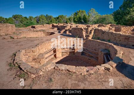 Kiva (zeremonielle Kammer) in Coyote Dorfkomplex, weitem Blick Websites, Mesa Verde Nationalpark, Colorado, USA Stockfoto