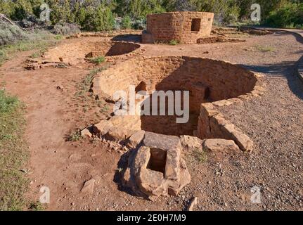 Kiva (zeremonielle Kammer) im Far View Tower, Far View Sites Complex, Mesa Verde National Park, Colorado, USA Stockfoto