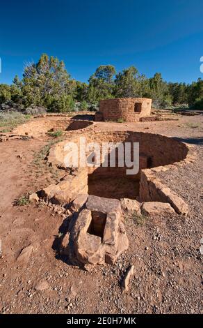 Kiva (zeremonielle Kammer) im Far View Tower, Far View Sites Complex, Mesa Verde National Park, Colorado, USA Stockfoto