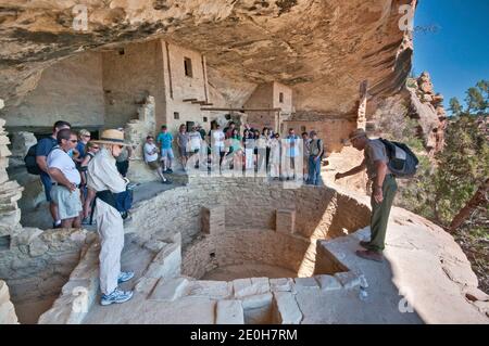 Parkführer und Besucher über Kiva (zeremonielle Kammer) im Balcony House Cliff Dwelling, Cliff Palace Loop, Mesa Verde National Park, Colorado, USA Stockfoto