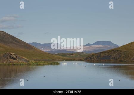 Schöne und seltene Gegend von Pseudo-Krater aka Vulkanen in der Nähe von Skutustadir und See Myvatn in Island. Stockfoto