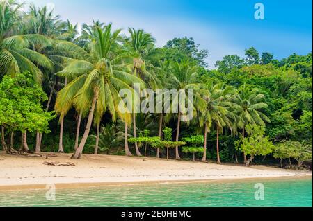 Albaguen Island (auch bekannt als Maxima und Albguan Island) In Port Barton Bay mit paradiesischen weißen Sandstränden - Tropisches Reiseziel in Palawan Stockfoto