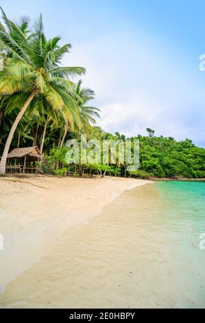 Albaguen Island (auch bekannt als Maxima und Albguan Island) In Port Barton Bay mit paradiesischen weißen Sandstränden - Tropisches Reiseziel in Palawan Stockfoto