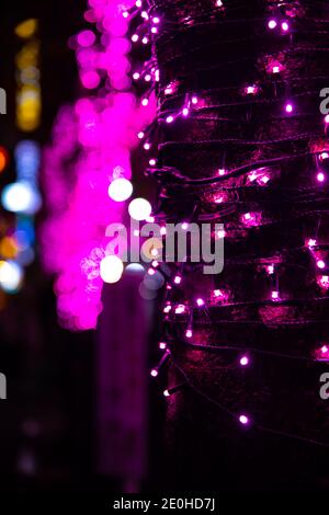 Eine Nacht beleuchtete Straße in Shibuya Stockfoto