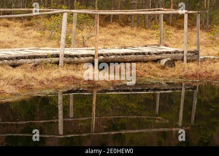 Harghita County, Rumänien. Mohos Peat Mog, ein Naturschutzgebiet im Krater eines alten Vulkans in den Karpaten. Stockfoto