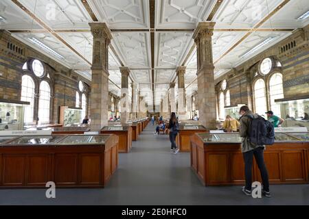 Sammlungen, Steine und Meteoriten, das Natural History Museum, Cromwell Road, Kensington, London, England, Grossbritannien Stockfoto