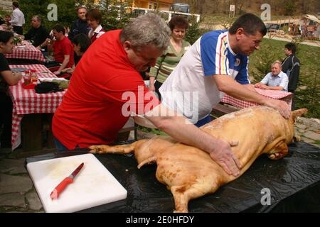 Schlachten eines Schweins auf dem Land Rumäniens. Schweinehaut wird mit grobem Salz gerieben, nachdem sie gesiebt, geschabt und gewaschen wurde. Stockfoto