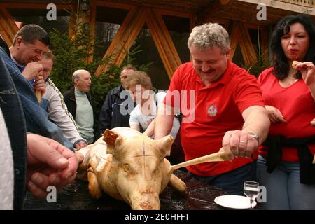 Schlachten eines Schweins auf dem Land Rumäniens. Teilhaber probieren die geräucherte Rinde. Stockfoto