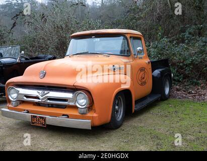 Crockham Hill, Kent, Großbritannien, 1. Januar 2021, Ford 1954 F100 Pickup Custom Cab, UAS 396, geparkt in einer Reihe von Vintage American Fahrzeuge in Crockham Hill, Kent. Das Wetter war ein kühles Zero C mit leichtem Nebel ein kühler Start ins neue Jahr.Quelle: Keith Larby/Alamy Live News Stockfoto