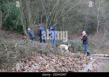 Crockham Hill,Kent,UK,1. Januar 2021,am ersten Tag des neuen Jahres 2021 gehen die Menschen in Crockham Hill, Kent, zu Fuß, um ihre täglichen Übungen zu machen. Das Wetter war ein kühles 0C mit Nebel und einer leichten Brise.Quelle: Keith Larby/Alamy Live News Stockfoto