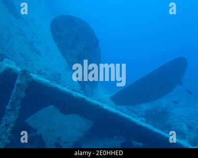 Propeller, Rack "Thistlegorm", Rotes Meer, Aegypten Stockfoto