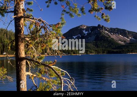 Paulina Lake & Peak, Newberry National Volcanic Monument, Oregon Stockfoto