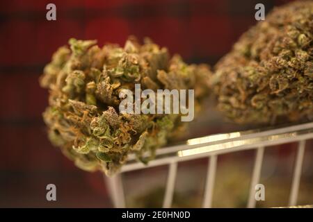 Online-Kauf mit einem Computer von zu Hause. Cannabis in einem Supermarkt Trolley. Computer-Tastatur Stockfoto