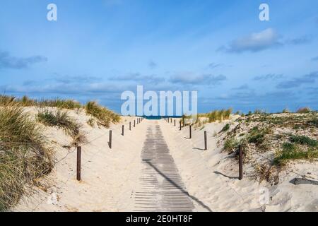 Düne am Ufer der Ostsee in Warnemünde, Deutschland. Stockfoto