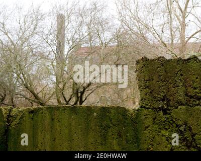 Carlsberg Brewery, Northampton, Großbritannien. Stockfoto