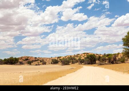 Sandstraße auf dem Auob River bei Mata Mata, Kgalagadi Transfrontier Park, Kalahari, Nordkap Südafrika in einer roten Dünenlandschaft Stockfoto