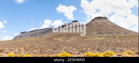 Große Karoo-Landschaft mit den ikonischen flachen Dolerite Koppies oder Bergen, Western Cape, Südafrika Stockfoto