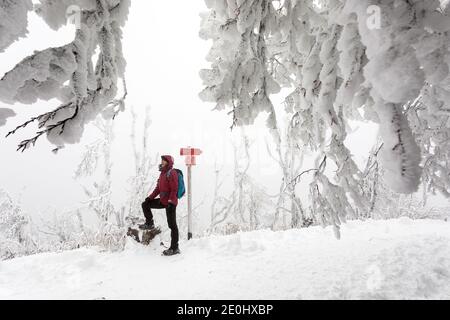 Frau steht an Wegweisern in einem Wald mit bedeckt Schnee und Eis Stockfoto