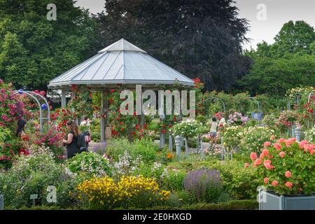Rosengarten, Planten un Blomen, Hamburg, Deutschland Stockfoto