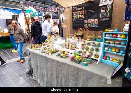 Peng Succulents Stall am Greenwich Market, London, Großbritannien Stockfoto