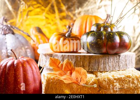 Kleiner roter Kürbis neben Heu bedeckt mit Blättern, orangefarbenen Kürbissen, orangefarbenem Kürbis und einem grünen Kürbis auf Holz neben einem silbernen Kürbis mit goldenem b Stockfoto