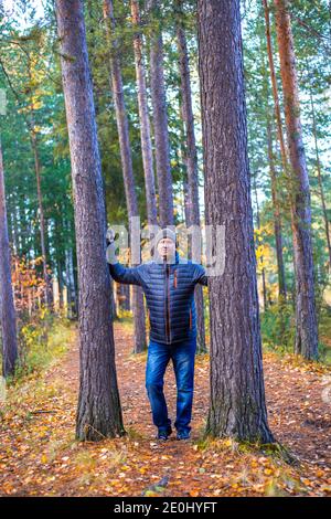 Ein Mann in einer Jacke und einem Hut geht durch den herbstlichen Wald unter hohen Kiefern. Freizeitbeschäftigung im Freien. Stockfoto