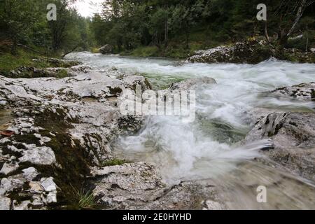 Felsen im wilden Gebirgsfluss Mostnica, Voje Tal, Bohinj, Slowenien Stockfoto