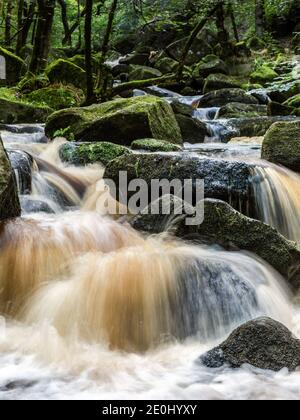 Burbage Brook fließt über Felsen in Padley Gorge, Peak District National Park, Derbyshire, England Stockfoto