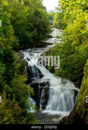 Herbstansicht der nebligen Linn Falls am berühmten Angus Glens of Glen Isla. Reekie Linn ist einer der spektakulärsten Wasserfälle Schottlands, der durch einen tiefen, von Bäumen gesäumten Canyon mit einer wunderschönen herbstlichen und farbenfrohen Landschaft westlich des Angus County in Schottland, Großbritannien, stürzt Stockfoto