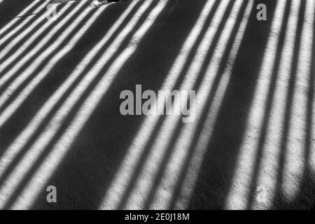 Schwarz-Weiß-Ansicht der weißen Vinyl-Pfostenzaun wirft lange Winter Schatten auf Neuschnee; Salida; Colorado; USA Stockfoto