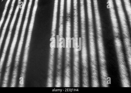 Schwarz-Weiß-Ansicht der weißen Vinyl-Pfostenzaun wirft lange Winter Schatten auf Neuschnee; Salida; Colorado; USA Stockfoto